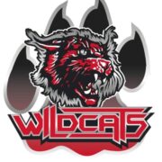 (c) Wildcats-cheerleader.de